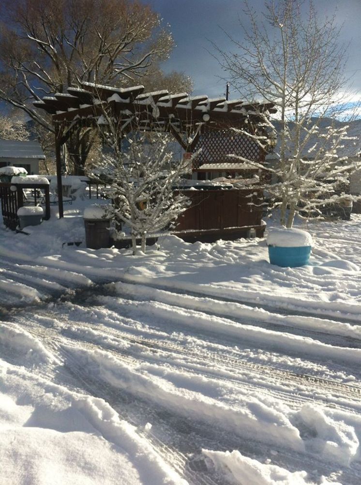 Circle R Motel Salida Dış mekan fotoğraf